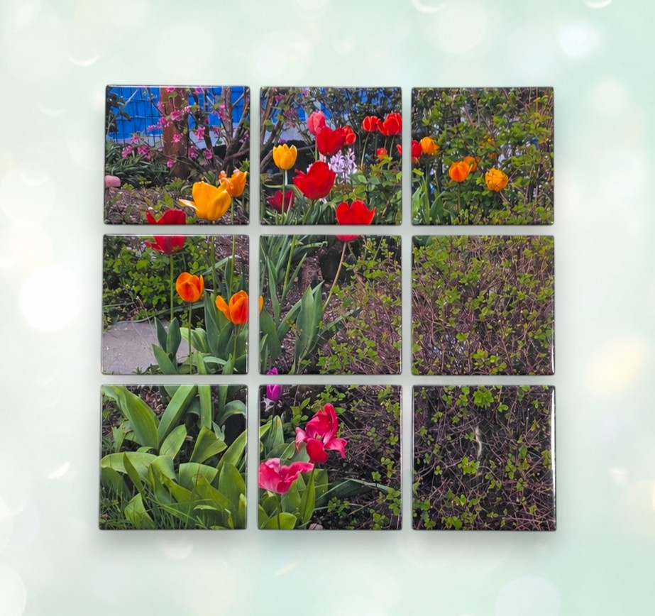 Puzzle Magnets - 9" x 9"